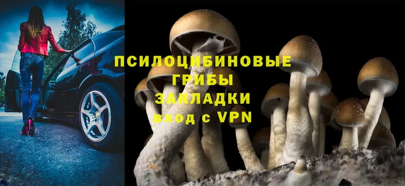 Галлюциногенные грибы MAGIC MUSHROOMS  что такое   Стерлитамак 